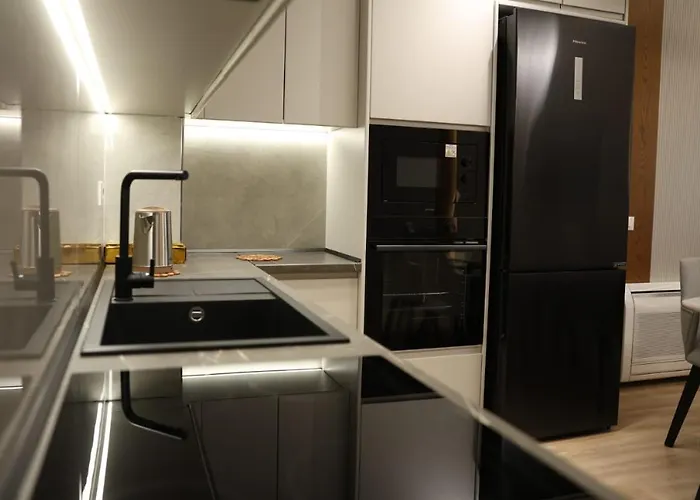 公寓 Main Luxury 1 地拉那